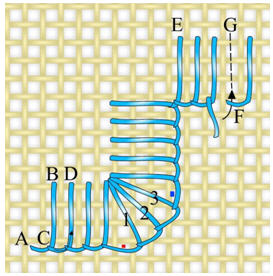 buttonhole-edging (26K)