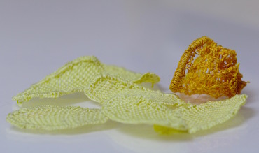 Lacey daffodil elements Lacey daffodil elements