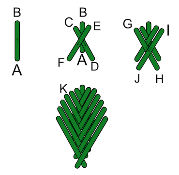 Digram for working fishbone Digram for working fishbone