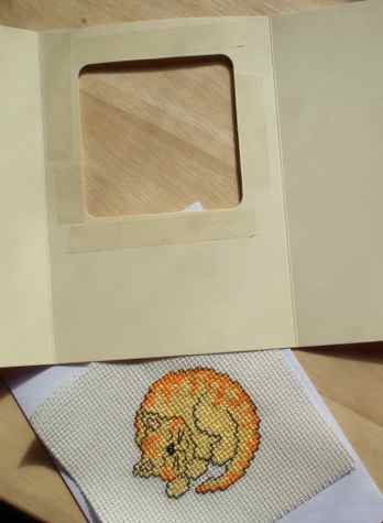 The backing of the tape is now peeled off The backing of the tape is now peeled off