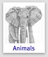 Blackwork elephant