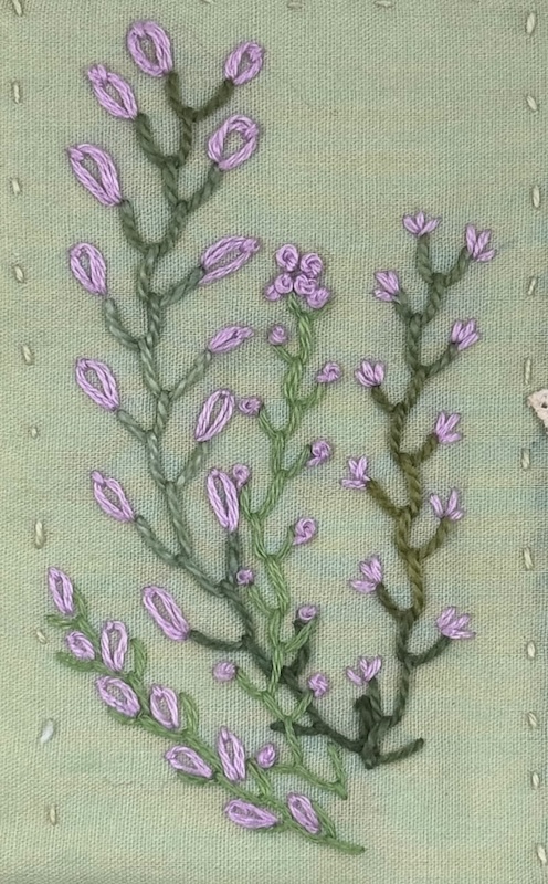 feather stitch with detached chain