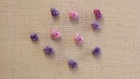 French knots sample