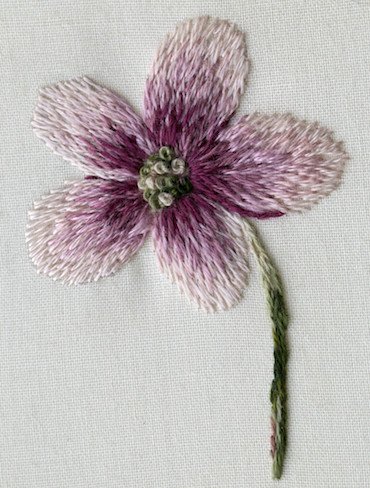A flower worked in long and short stitch, also known as needlepainting