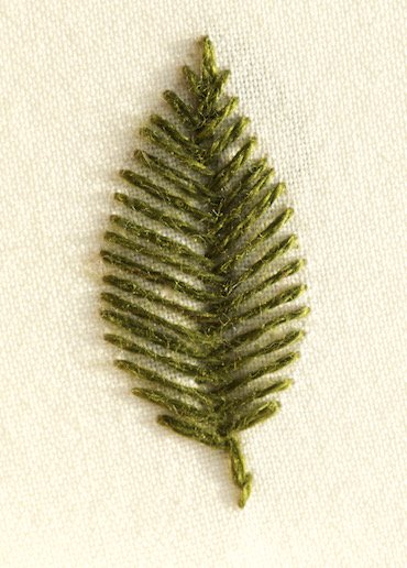 Photo of an open fishbone leaf