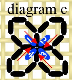 Diagram C showing extra stitches added to flower centres for shading